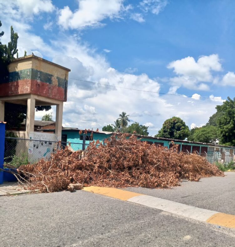 Escombros dejados por el viento y aguaceros la semana pasada siguen en la calle de Valmore Rodríguez