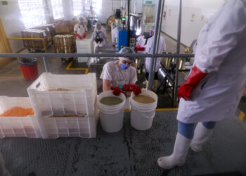 Argentina va a las urnas con una economía de ‘bolsillos flacos’ y bajo tensión financiera