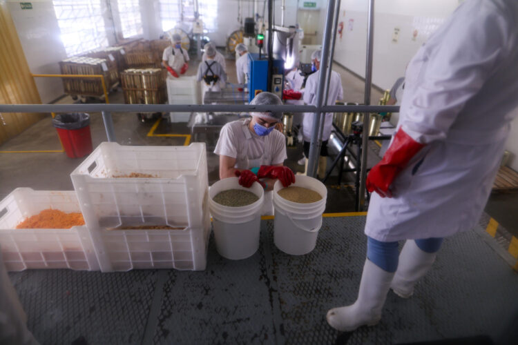 Fotografía del 7 de agosto de 2025 de un grupo de personas trabajando en una fábrica en Buenos Aires (Argentina). EFE/ Juan Ignacio Roncoroni
