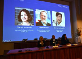 ¿Que es la tolerancia inmunológica periférica que ha justificado el Premio Nobel?