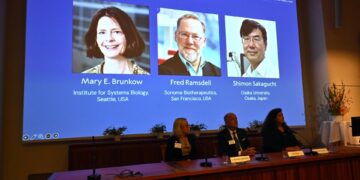 ¿Que es la tolerancia inmunológica periférica que ha justificado el Premio Nobel?