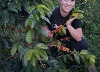 Café de Boconó dice presente en la Eicev Caracas 2025