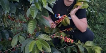 Café de Boconó dice presente en la Eicev Caracas 2025