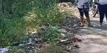 La vía que conduce al Tres de Febrero se ha convertido un vertedero público de basura