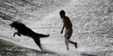 El perro, ‘mejor amigo’ del hombre desde hace más de 10.000 años