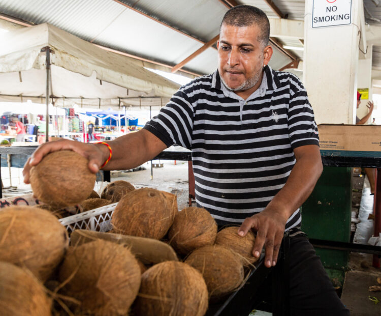 Fotografía del agricultor Marlon Mahabir acomodando cocos en un mercado en la ciudad de Debe (Trinidad y Tobago). EFE/Andrea de Silva