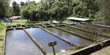 Mérida | Fortalecen la acuicultura con avances en la Estación Truchícola La Mucuy