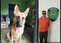 Zoofilia | Piden dos fiadores para el responsable de abuso sexual a perrita en Mérida