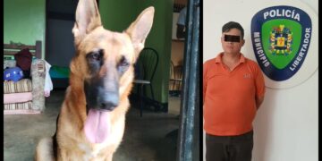 Zoofilia | Piden dos fiadores para el responsable de abuso sexual a perrita en Mérida