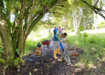 Avanza el rescate y restauración del Parque Albarregas en Mérida