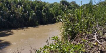 Una necesidad impostergable canalizar periódicamente lecho del río Motatán
