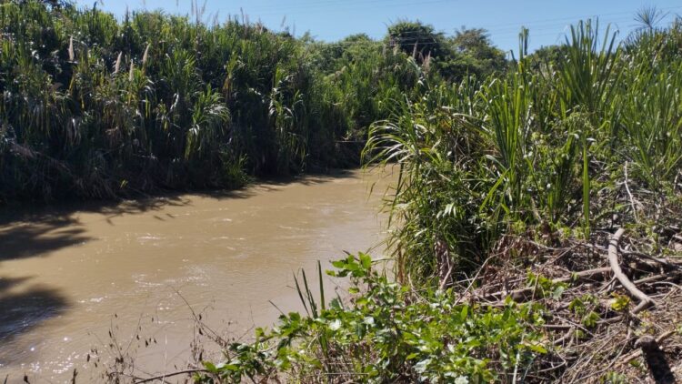 Necesidad impostergable limpiar orillas del lecho del rio Motatán en el municipio La Ceiba