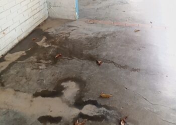 En deplorables condiciones se encuentra terminal de pasajeros de Sabana de Mendoza