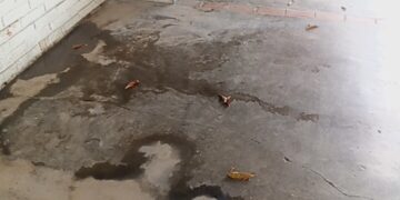 En deplorables condiciones se encuentra terminal de pasajeros de Sabana de Mendoza