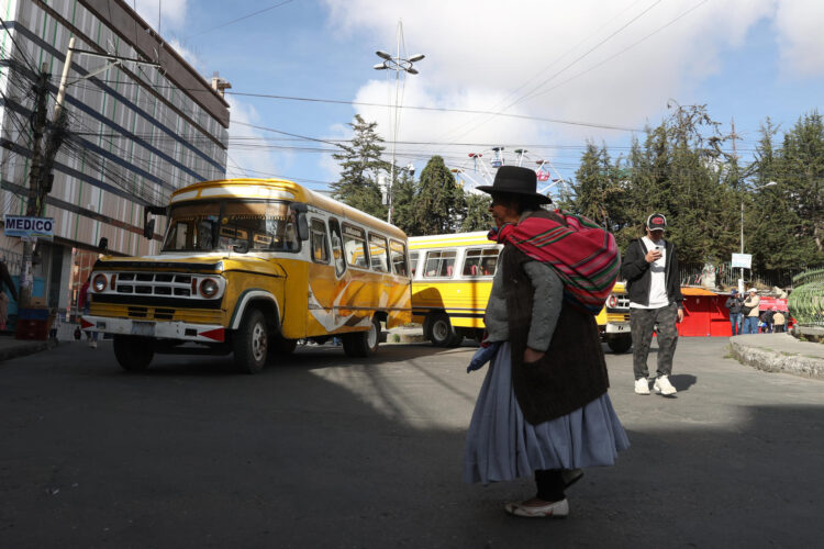 Una mujer aimara camina en una calle bloqueada por conductores de transporte público este viernes, en La Paz (Bolivia). EFE/ Luis Gandarillas