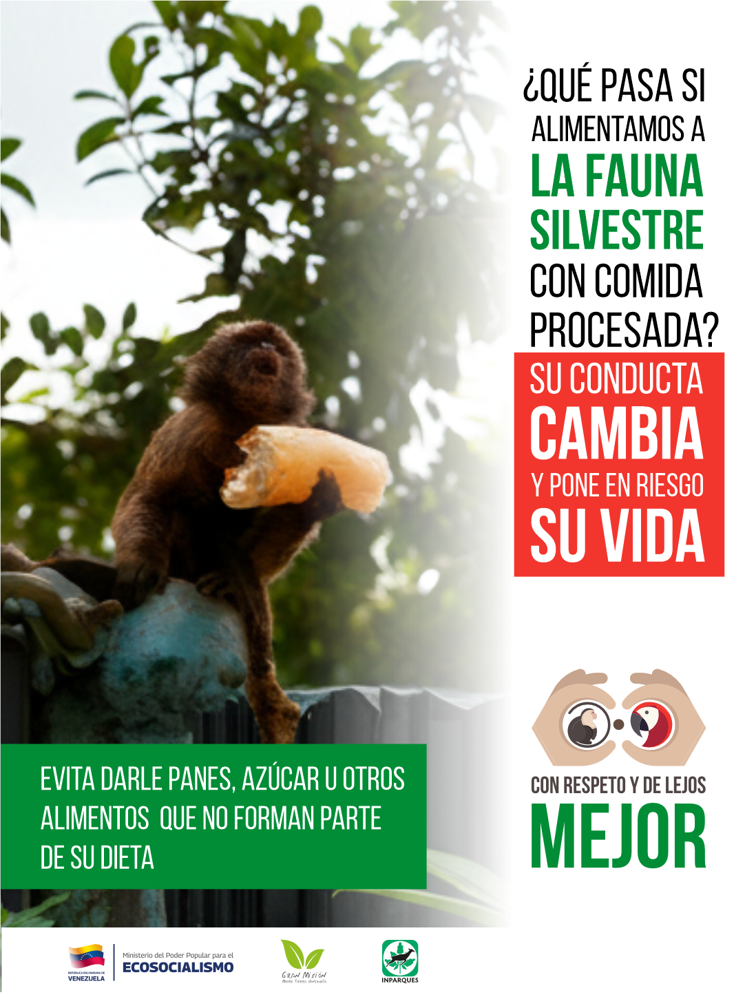 campaña formativa en protección de la fauna silvestre 