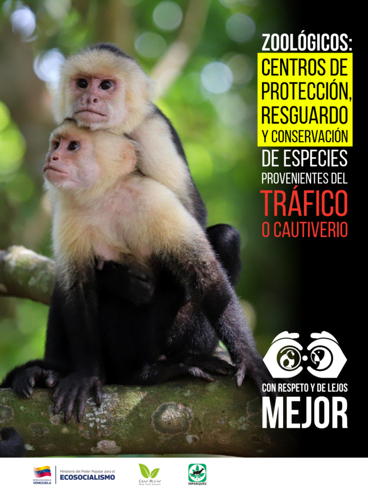 Inicia campaña formativa en protección de la fauna silvestre en Venezuela