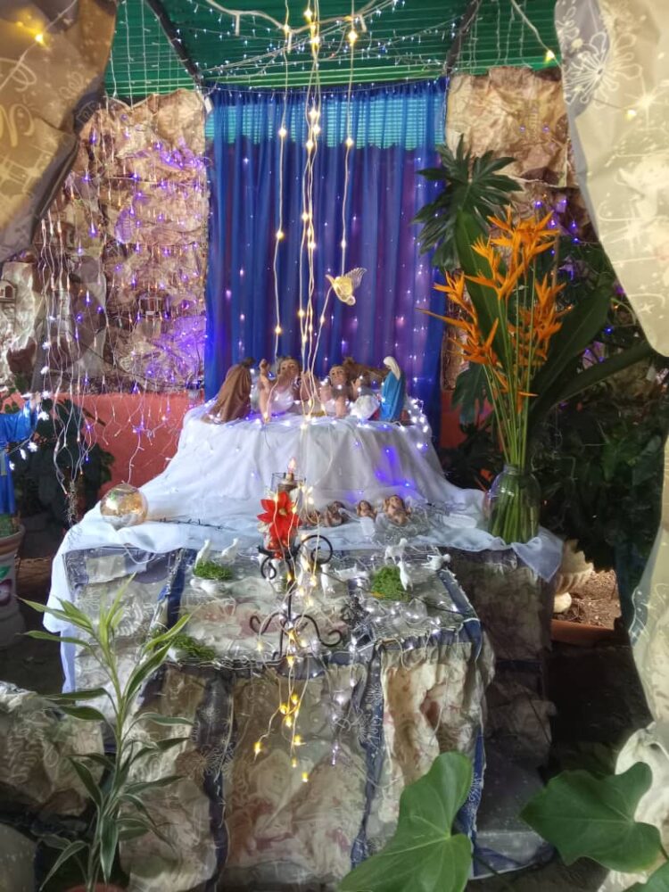 El hermoso pesebre elaborado con ocho Niño Jesús en Flor de Patria.