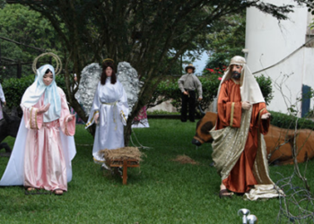 ESTAMPAS DEL PESEBRE DE LA TRUJILLANIDAD  |  Por: Alí Medina Machado