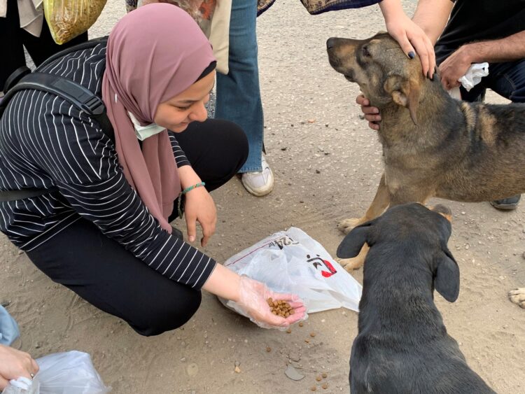 EFE/ Carles Grau Sivera/Archivo