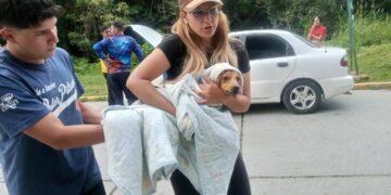 Misión Nevado rescata dos perros en Boconó 