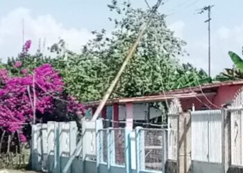 En La Ceiba: Corpoelec no presta mantenimiento a postes y redes que conducen electricidad