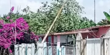 En La Ceiba: Corpoelec no presta mantenimiento a postes y redes que conducen electricidad