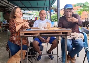 Organizaciones trujillanas lanzan campaña contra el abandono de mascotas hembras y promueven la esterilización