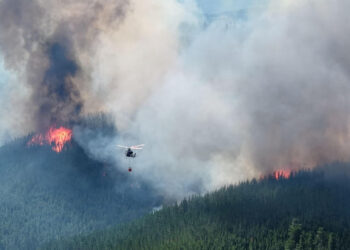 Decenas de personas son evacuadas por incendios forestales en la Patagonia de Argentina