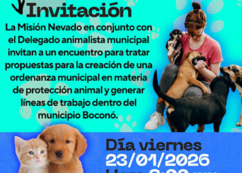 Invitan a reunión para crear ordenanza pro derechos animales en Boconó 