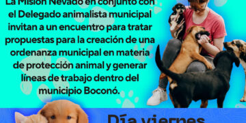 Invitan a reunión para crear ordenanza pro derechos animales en Boconó 