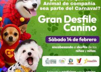 Invitan a gran desfile canino para este Carnaval de Boconó 