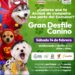 Invitan a gran desfile canino para este Carnaval de Boconó 
