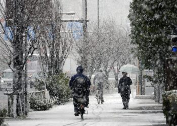 Suben a 35 los muertos por la nieve en Japón, con riesgo de avalanchas por deshielo