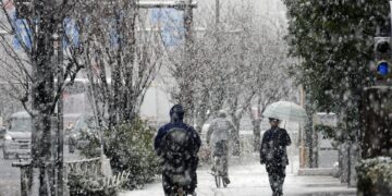 Suben a 35 los muertos por la nieve en Japón, con riesgo de avalanchas por deshielo