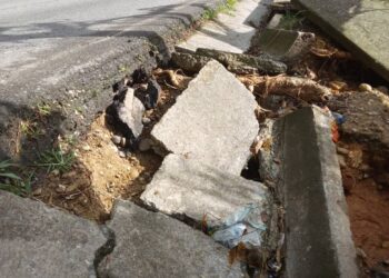 Vialidad desde Pampán a Flor de Patria necesita atención urgente