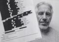 Expertos de la ONU: archivos de Epstein revelan posibles crímenes de lesa humanidad