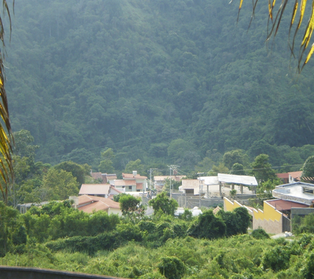 Nacida en mis breñas esta blanca
es chalchiqueye y mereciendode mis bosques
los altares de Misnú, con sus aromas le brindaran,
el lirio en el jaral y el pomarrosa en flor de la espesura, los piaches cultos le rindieran y la torcaz y el gonzalito para ella cantarian.
Carachi (Pensamiento)