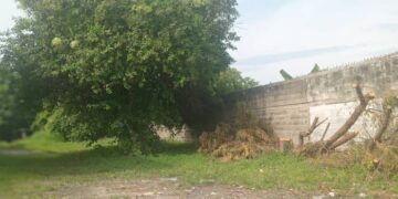 Callejón Carlos Capriles |  Por: Williams Castellanos