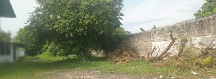 Calle Capriles de Sabana de Mendoza, trancada