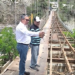 Carlos Pernía: habitantes de los pueblos del Sur siguen esperando la reparación del puente Chichuy