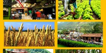 La Puerta y su histórico acontecer productivo y económico (2ª. Parte) | Por Oswaldo Manrique