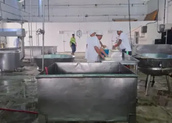 Hito histórico en el sur: Inician protocolo para convertir al queso guayanés en patrimonio y referente de exportación