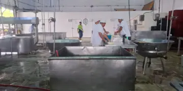Hito histórico en el sur: Inician protocolo para convertir al queso guayanés en patrimonio y referente de exportación