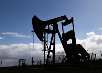 El precio del petróleo Brent se muestra plano por debajo de los 113 dólares el barril
