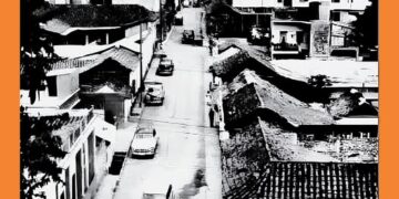 Choferes con Nalgas de Acero | Por: Alfredo Matheus