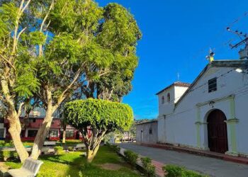 Solicitan recolección de basura en Boconó 