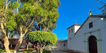 Solicitan recolección de basura en Boconó 