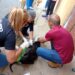 Boconó se suma al rescate de los animales