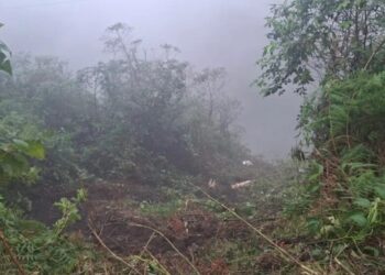 Asciende a 12 la cifra de fallecidos por accidente de autobús en la carretera Mérida-Barinas